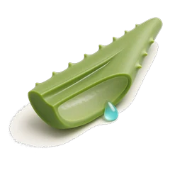 Aloe vera
